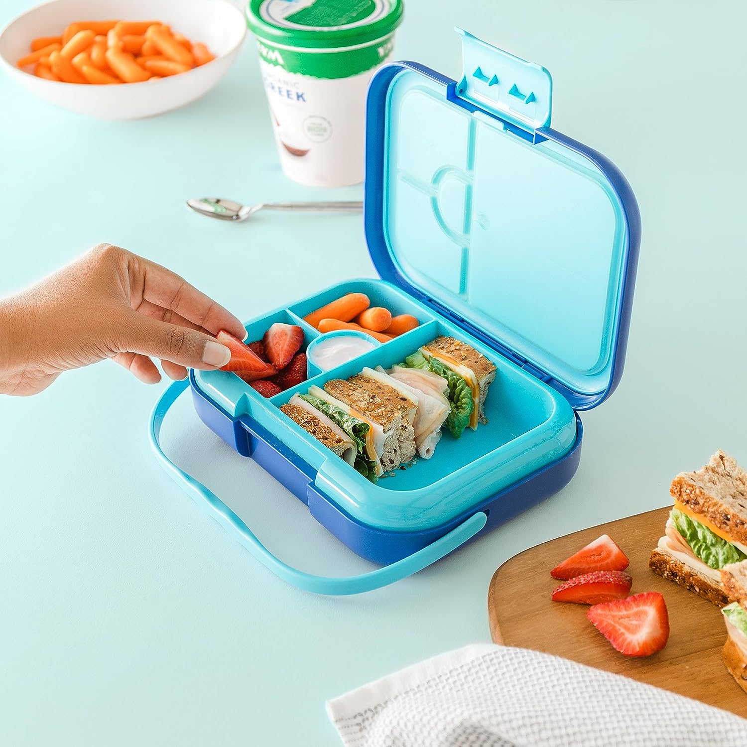 Kids dinosaur lunch box online