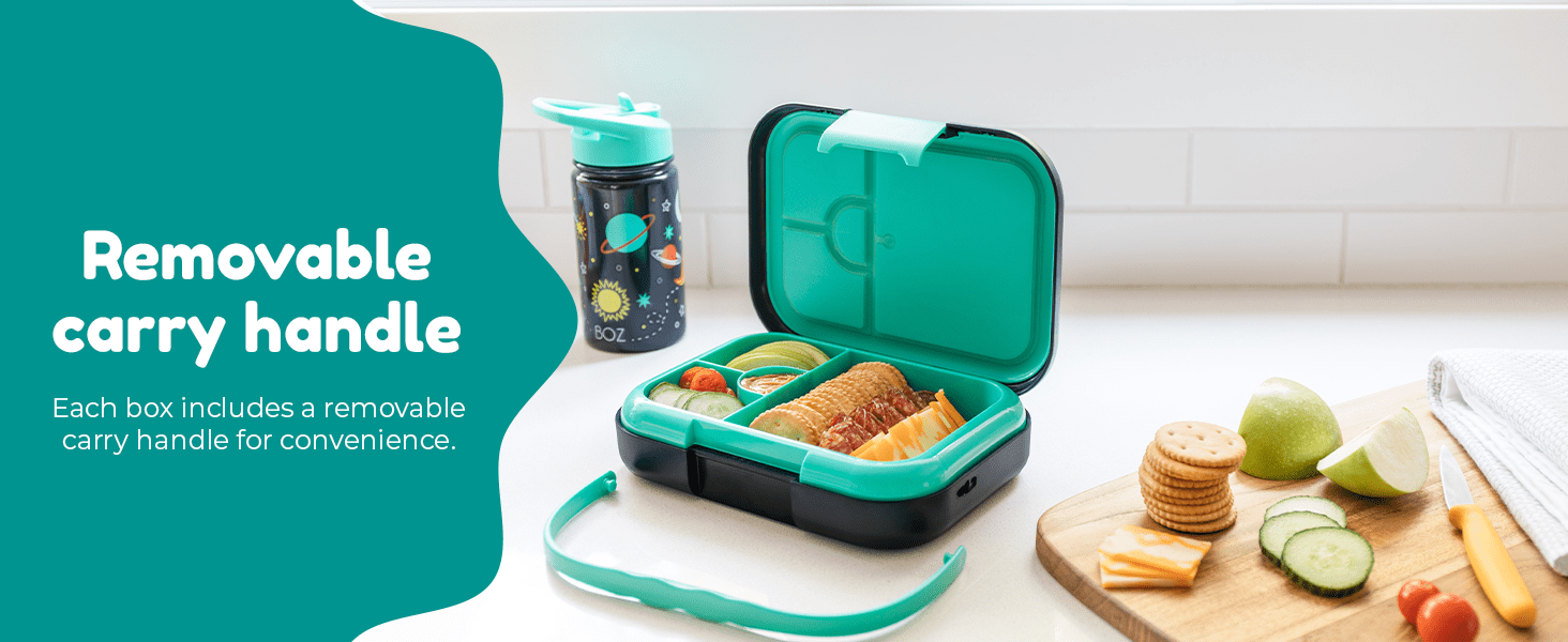 Removable carry handle bento box